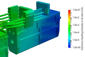 Neutronic heating distribution analysis inside a tokamak